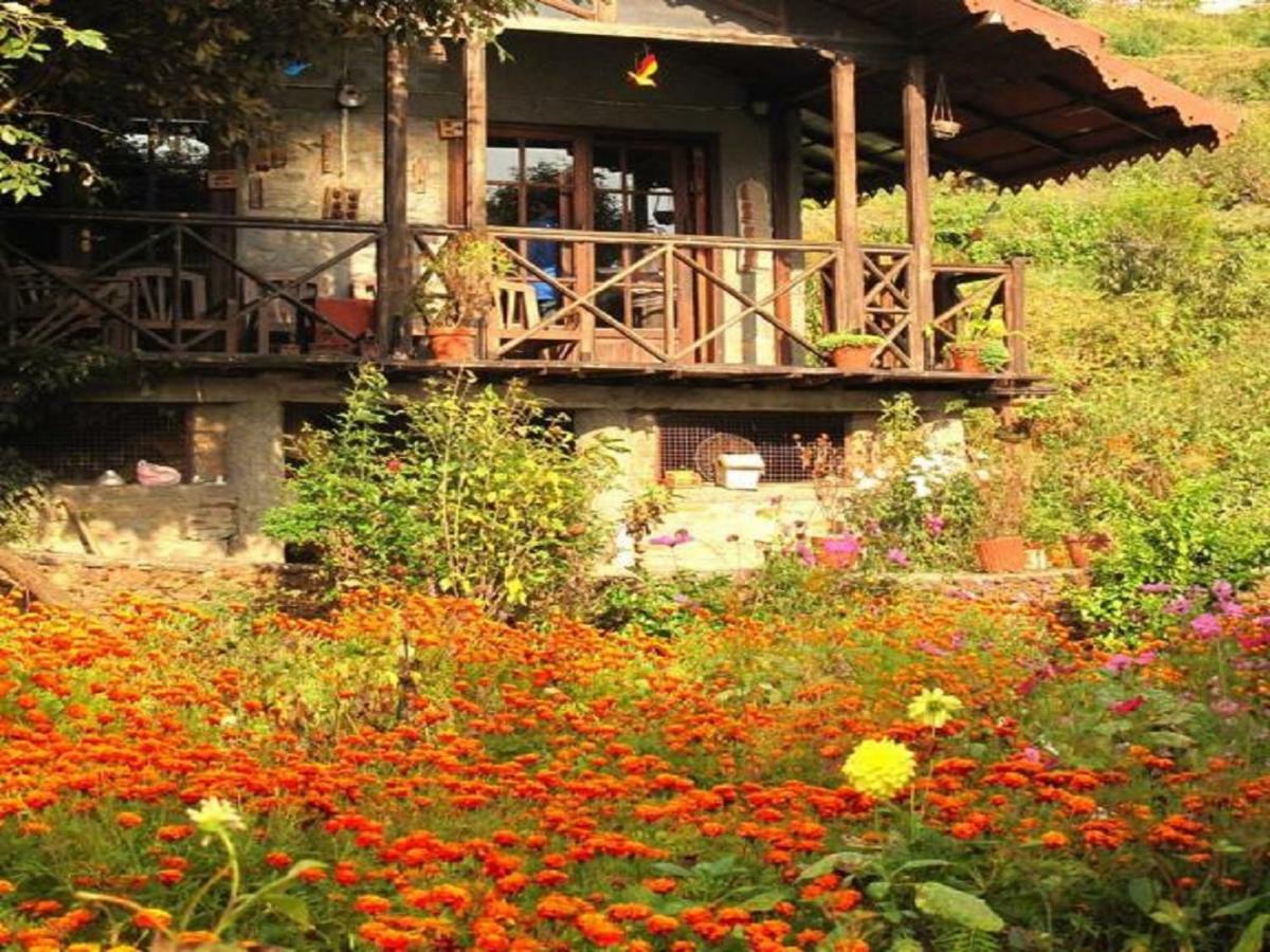 נייניטל Jungle Lore Birding Lodge מראה חיצוני תמונה